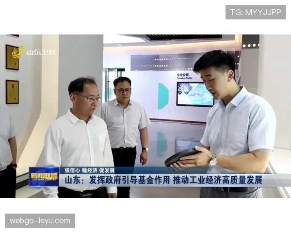 纽卡斯尔探索经济与环境双赢新路径,迎来高质量发展新篇章 纽卡斯尔探索经济与环境双赢新路径,迎来高质量发展新篇章