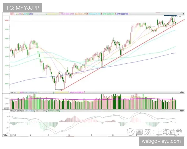 沃特金斯与托尼全面性对比：跑动策应与终结效率差异解析